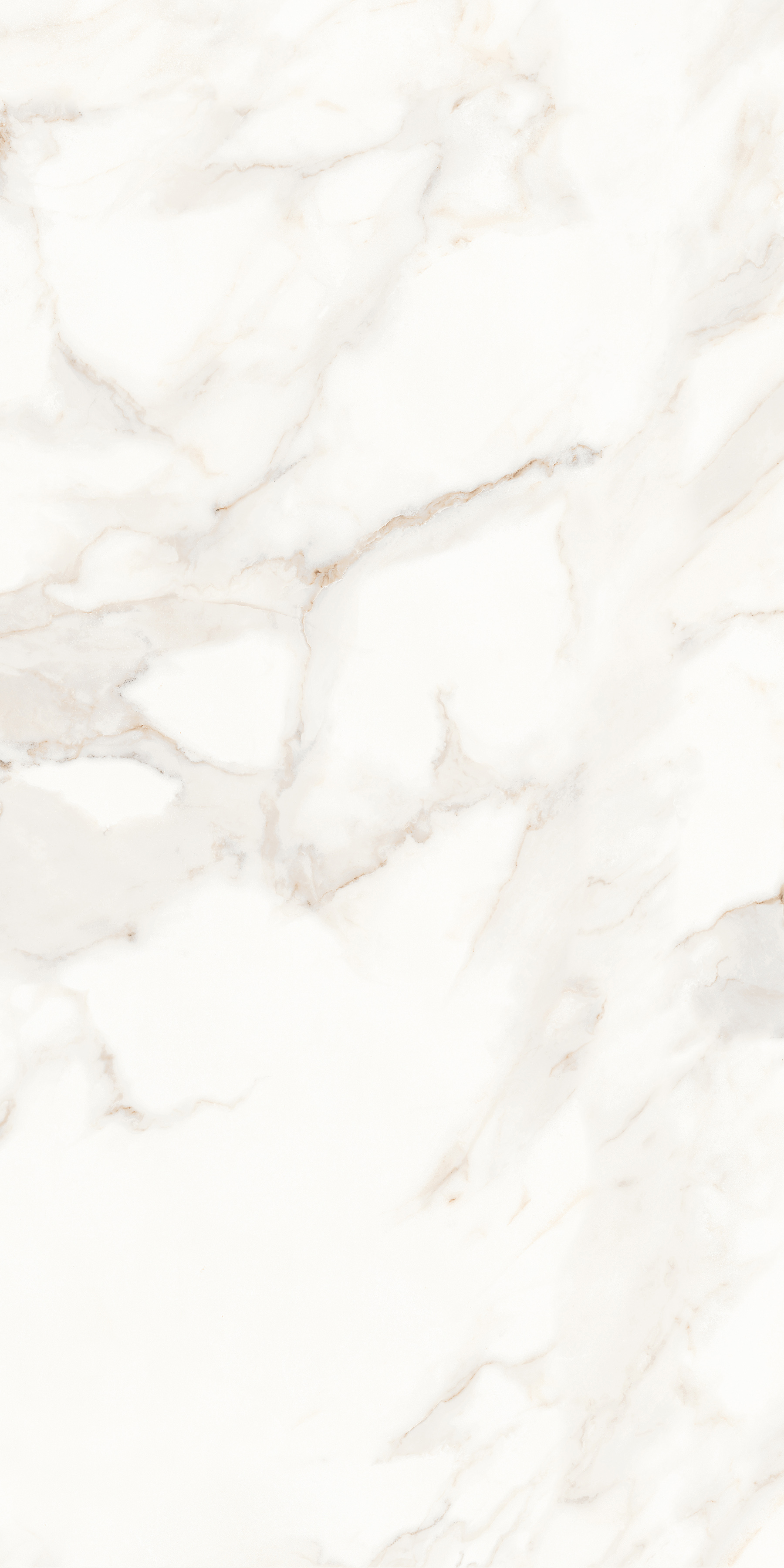 MPL-058623 Calacatta Polished 60x120 Creto