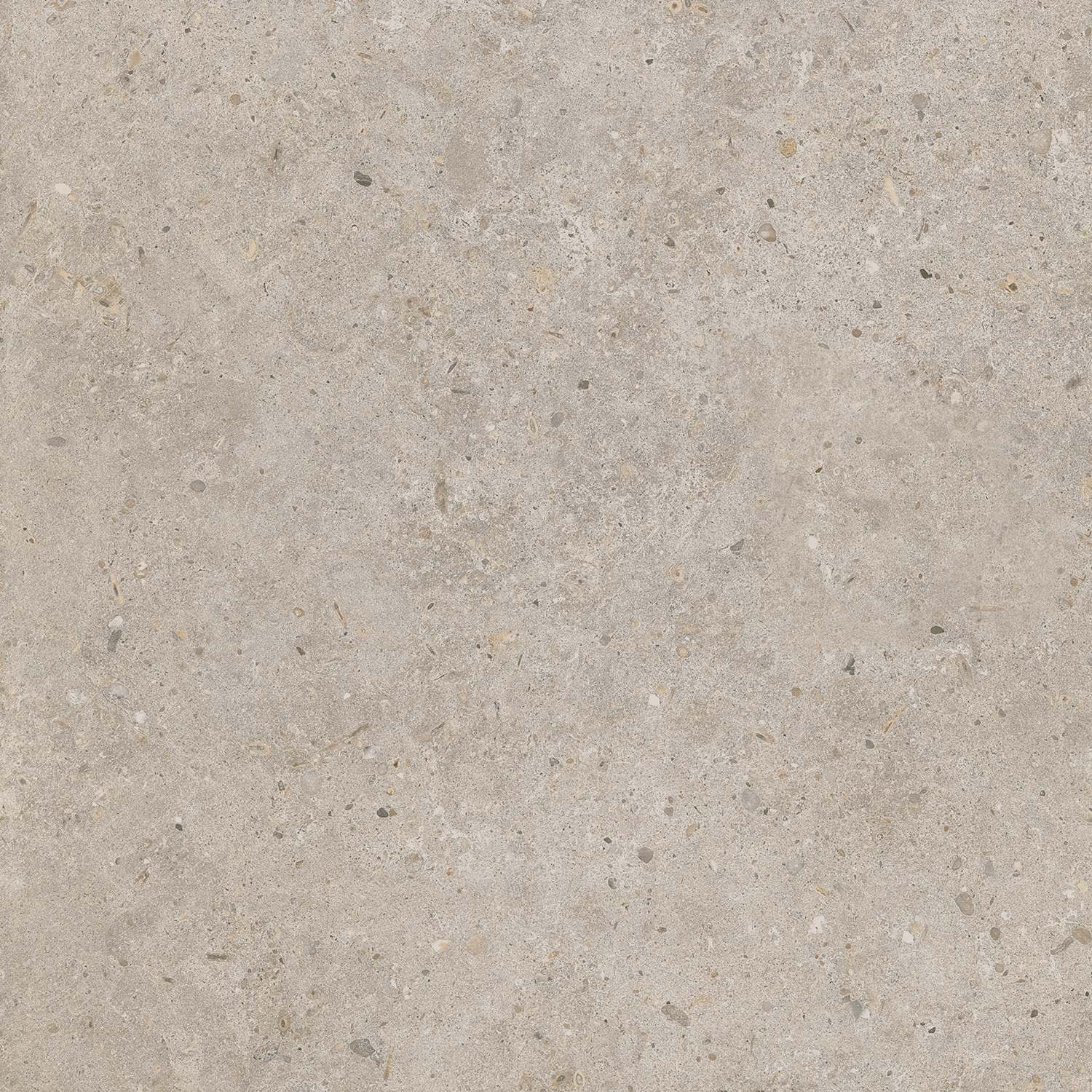 SG653820R Риккарди бежевый матовый обрезной 60x60 Kerama Marazzi фото 3