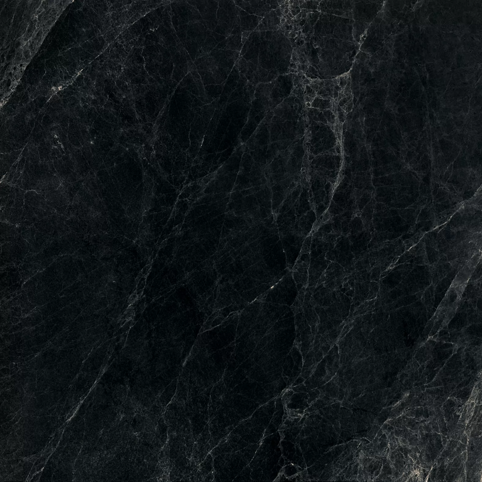 Worner Black sugar lapp. 60x60 Bluezone фото 6