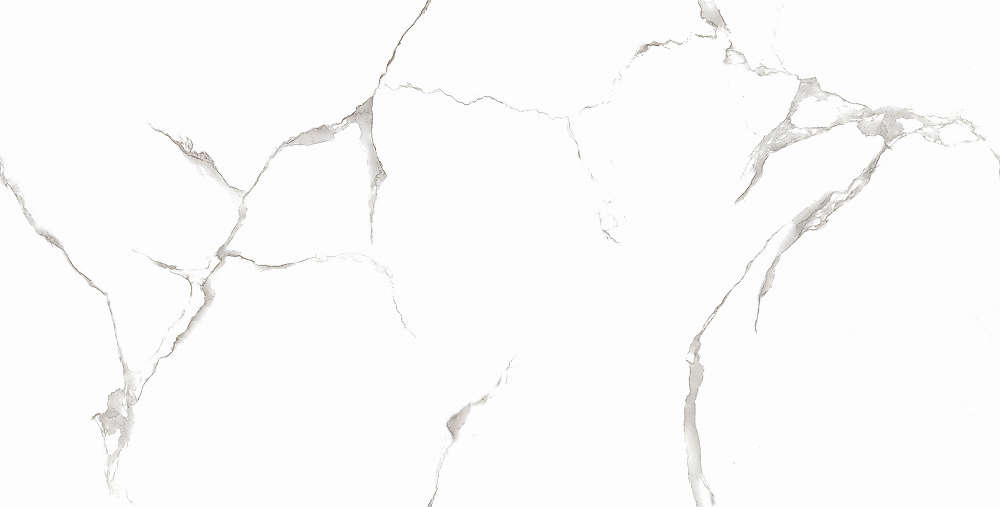 Silver White PGVT 60x120 Casati Ceramica