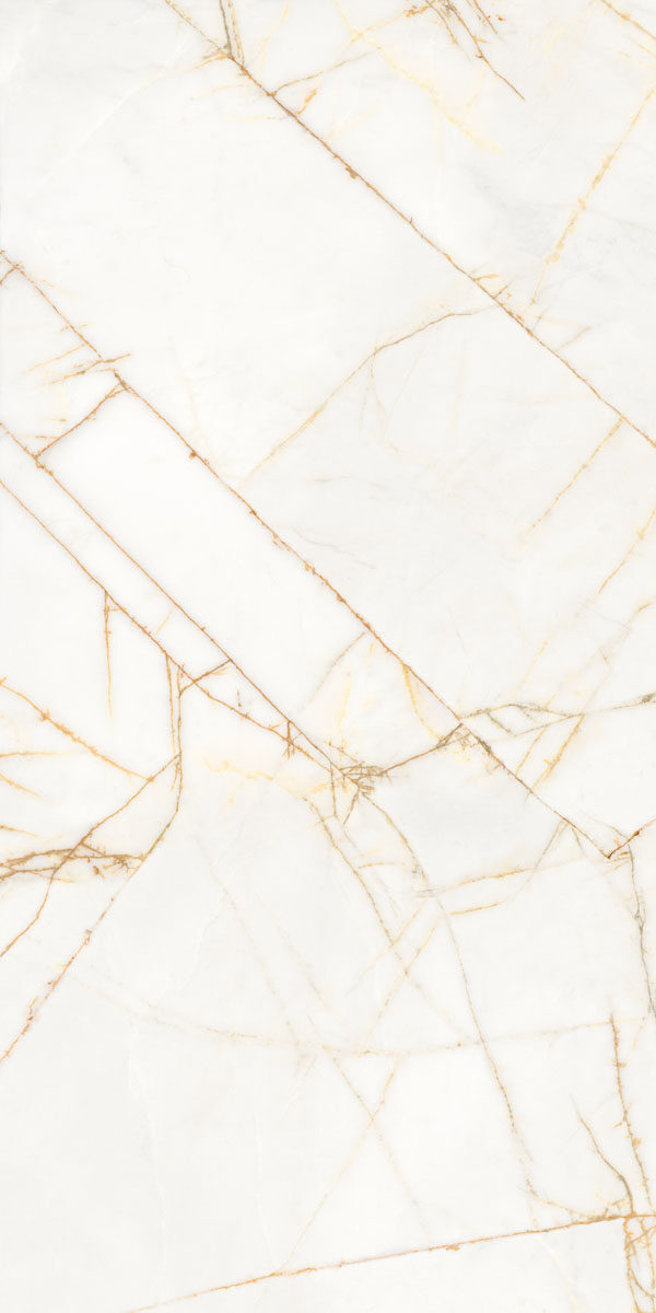 PF60017518 Supreme Hedonism Golden Spider Nat R 60x120 Flaviker