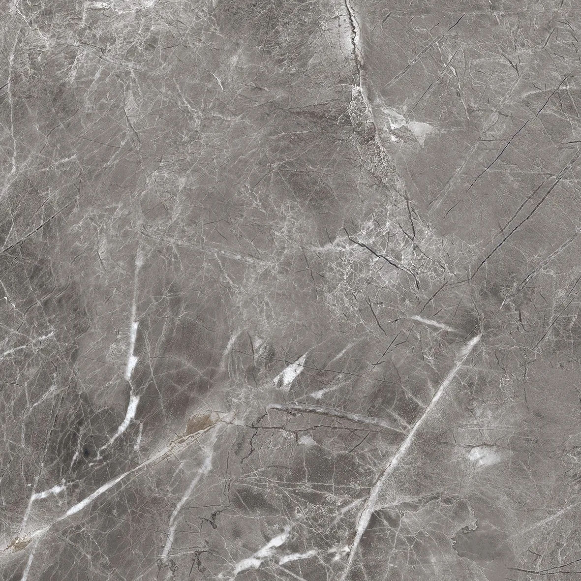 Шэдоу Темно-серый матовый 60x60 Realistik фото 2