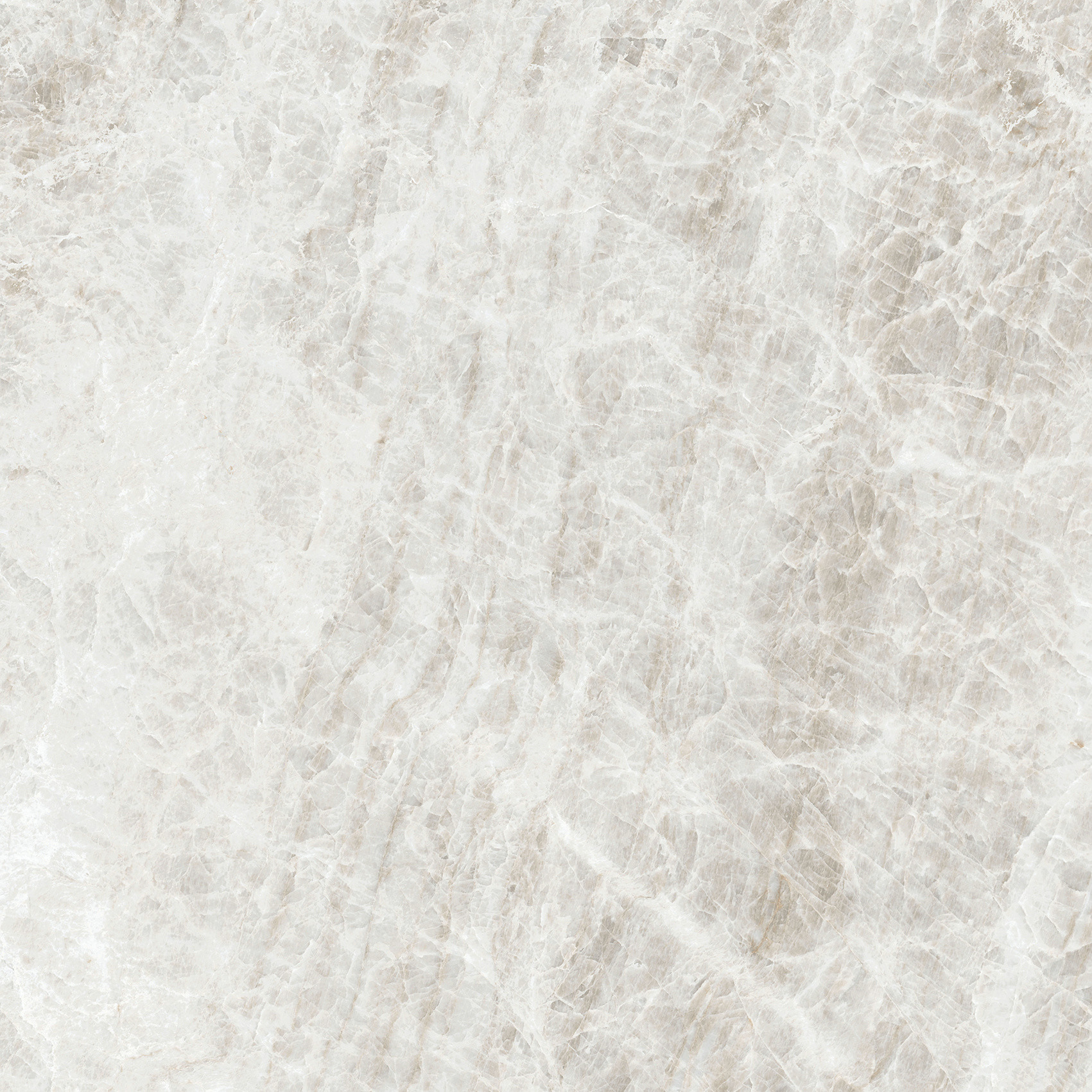 784549 Iconic Life Rice Yamuna Glossy 60x60 Cerim фото 7