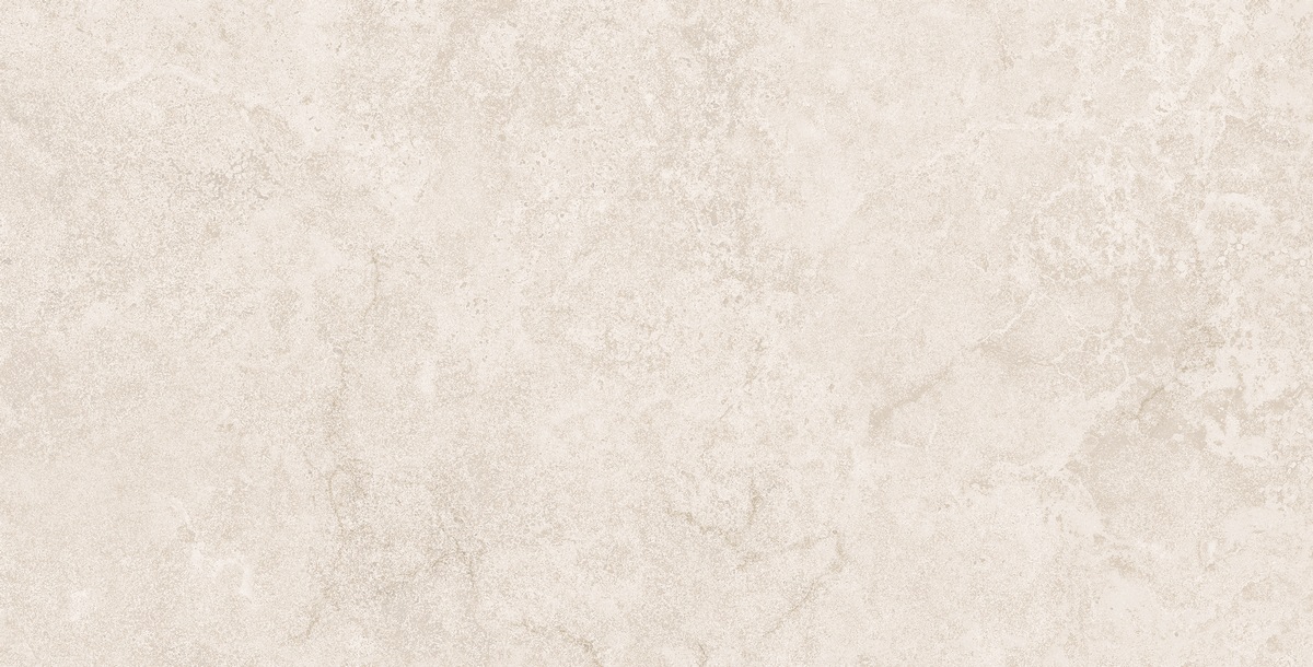 N40071 Stone Duomo Beige Matt Str 60x120 Neodom фото 3