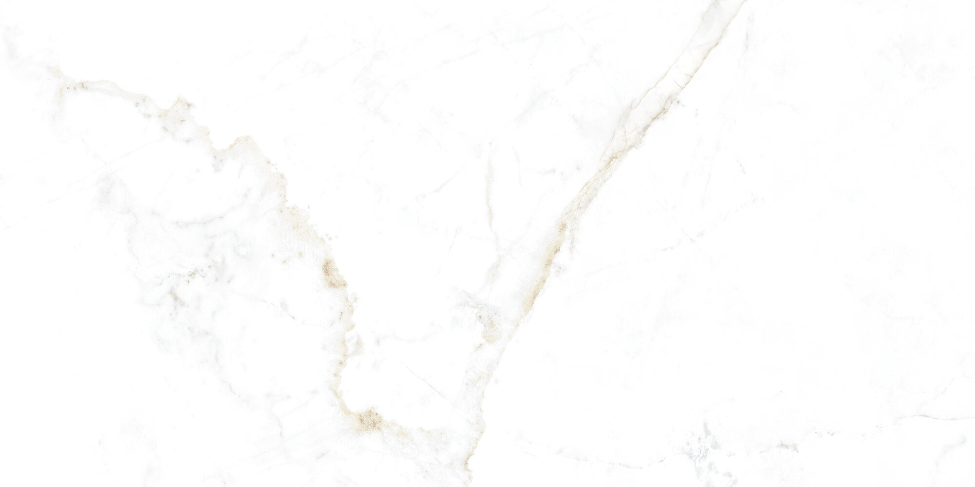 31741 Dual White EP 60x120 Peronda фото 6