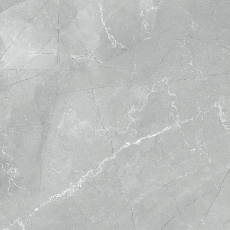 6060AMB15P Armani Marble Gray 60x60 LCM