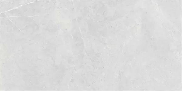 Northon Light Grey Pul Rect. 59x119 Keratile