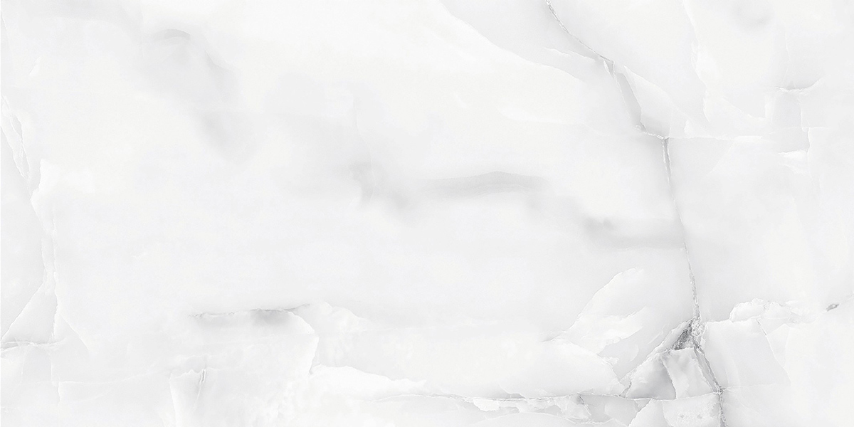 AB 1182G Snow Onix Grey Gloss 1200x600 Absolut Gres