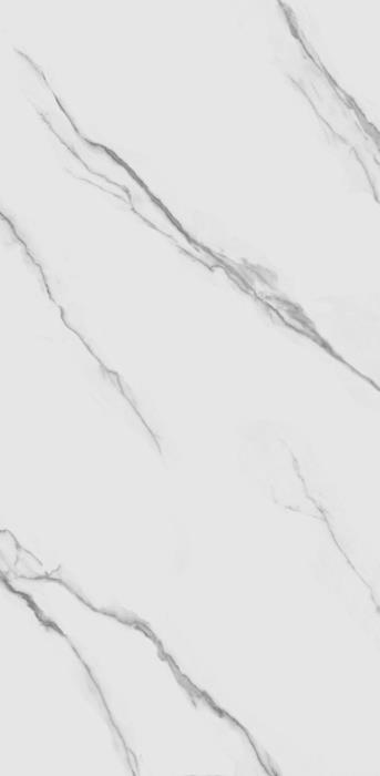 TP612M001 Авиталь матовый 60x120 PrimaVera фото 3