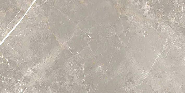 766630 Elemental Grey Dolomia Luc Ret 30x60 Cerim