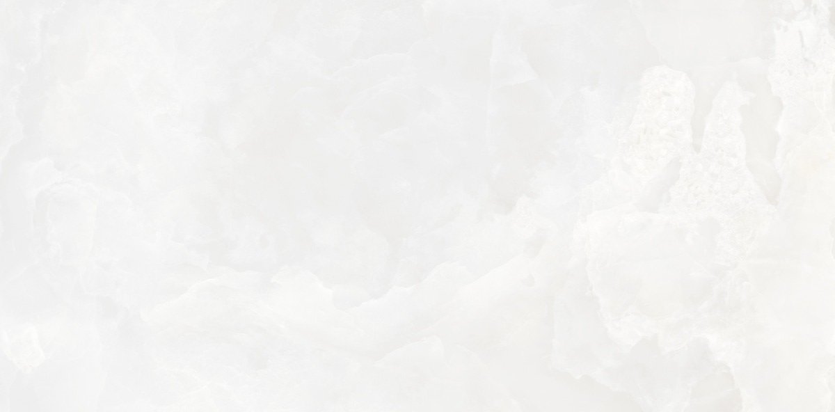 N130006 Invictus White Polished 60x120 Neodom