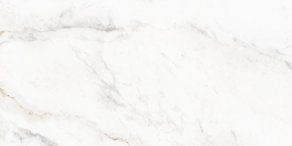 2578 Calacata Soft Vein Polished 60x120 Leopard