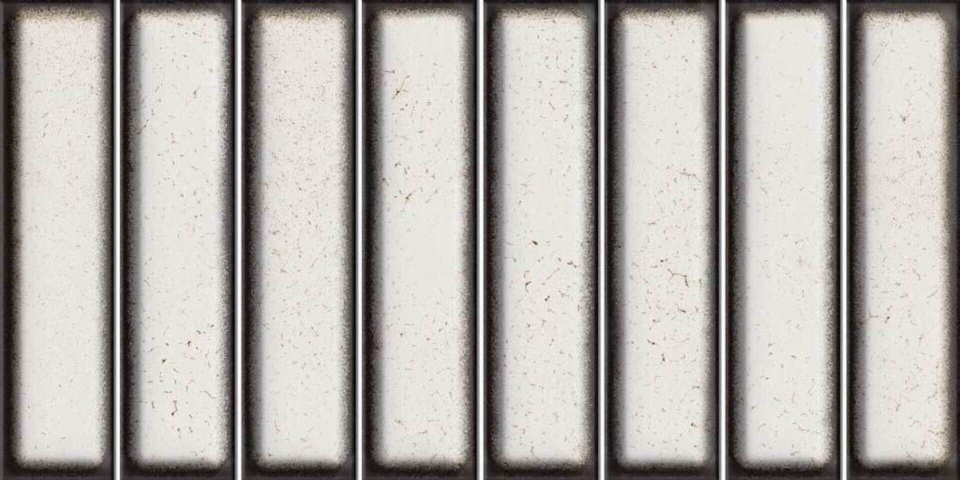 Domino Blanco Glossy 15x30 El Barco фото 10