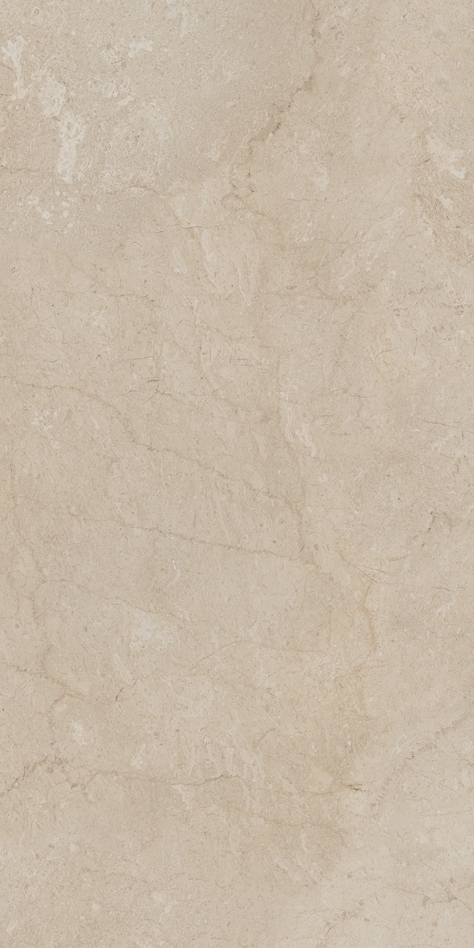 AEM01 Элемента Бежевый Неполированный Рект 60x120x9 Ametis by Estima фото 8