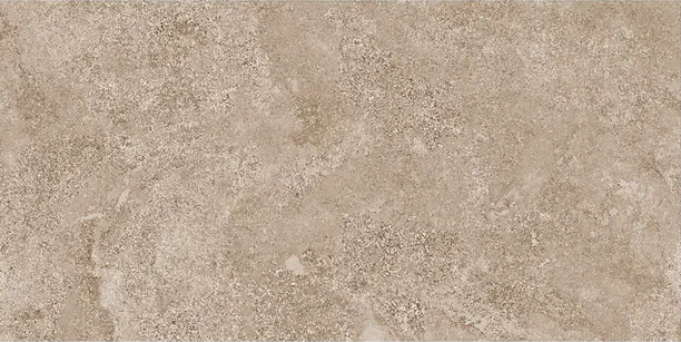 Mystical Charm Camel Relief Matt 60x120 Staro