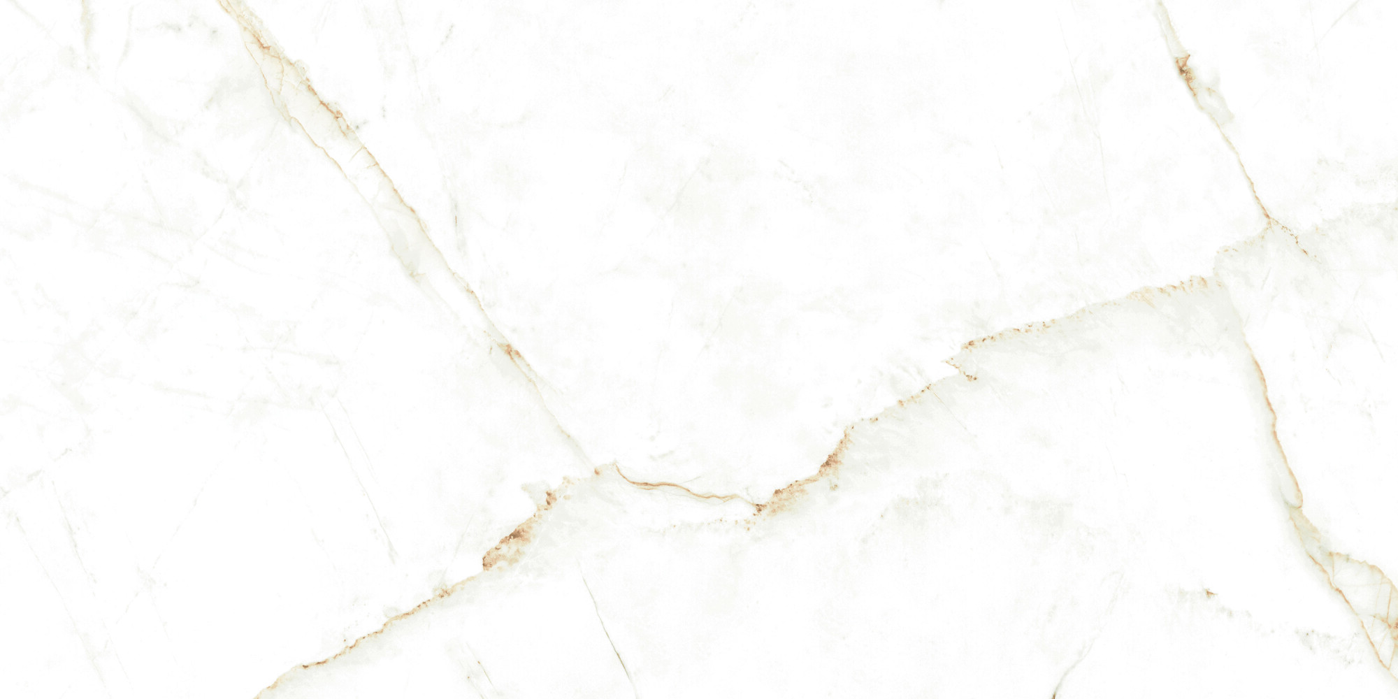 38712 Dual White NT/60X120X0,9/C/R 60x120 Peronda фото 14