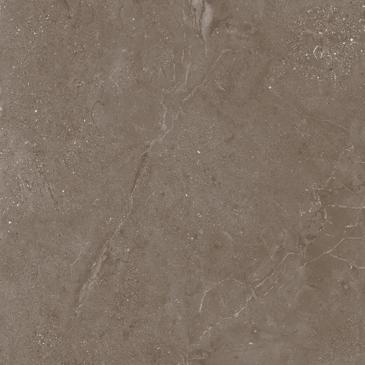 Нобл Мокка ПРО коричневый матовый R11/A Бархат 60х60 Laparet фото 9