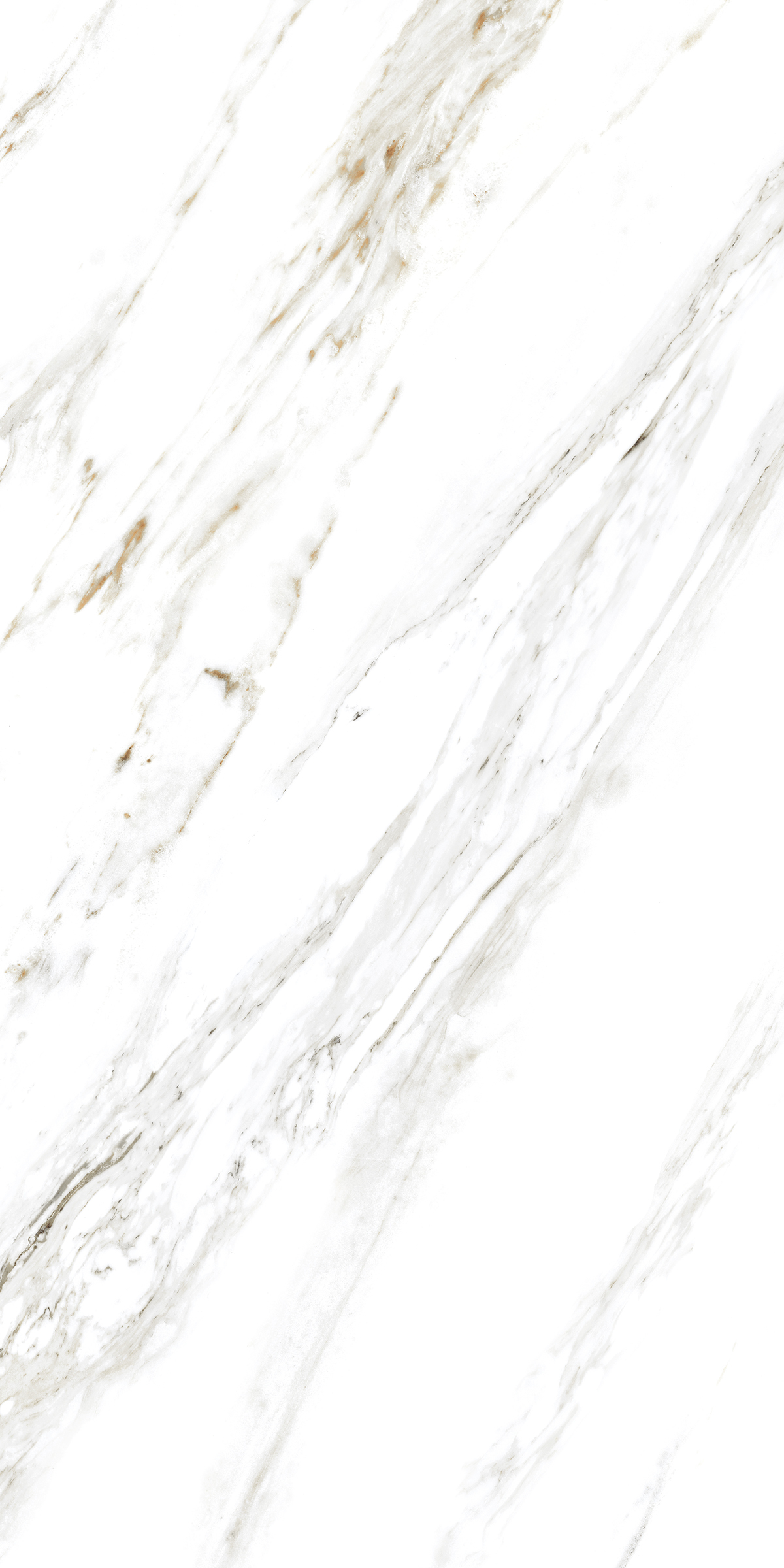 885 Calacatta Caldia 120x60 Artcer