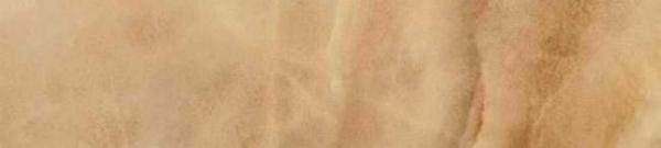 Rod. Bullnose Damore Honey 7.6x38.8 Ceracasa