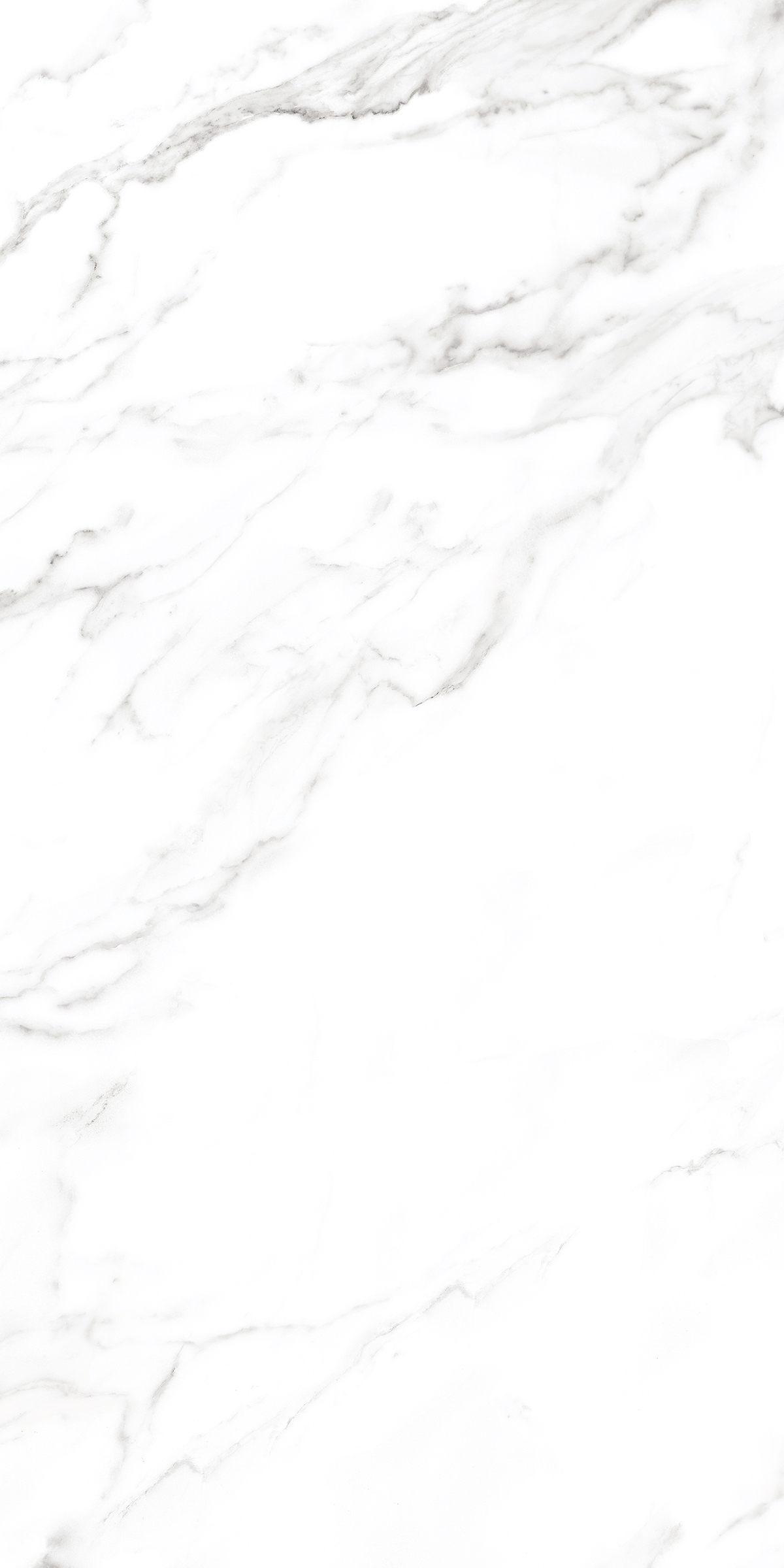 083063 Statuario Lap Ret 60x120 Ava Ceramica