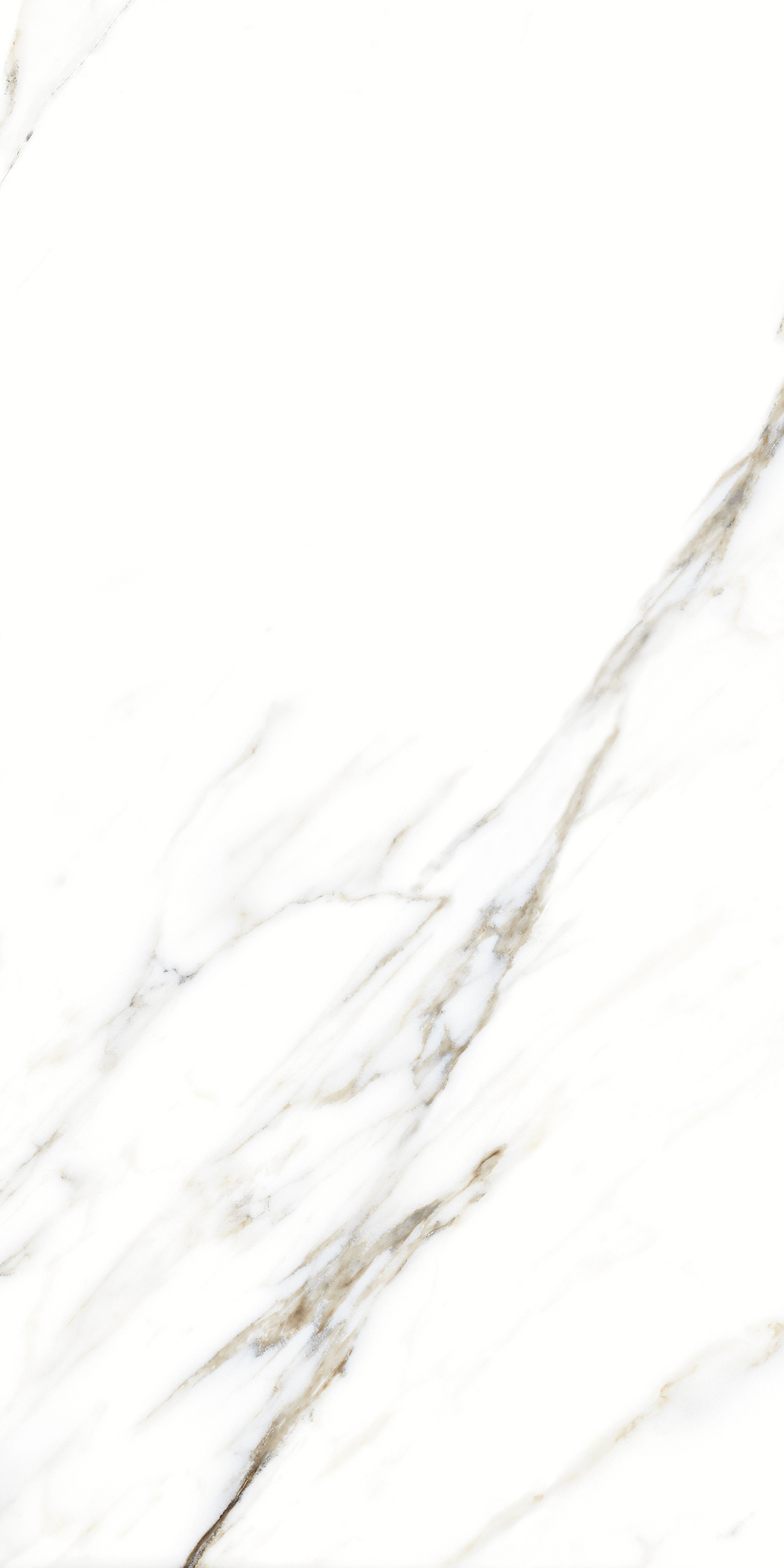 893 Fantastic White 120x60 Artcer