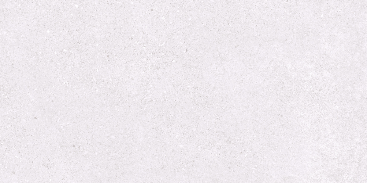 Базальт Эксепшнал Сноу светло-серый матовый 60х120 Ceradim фото 4