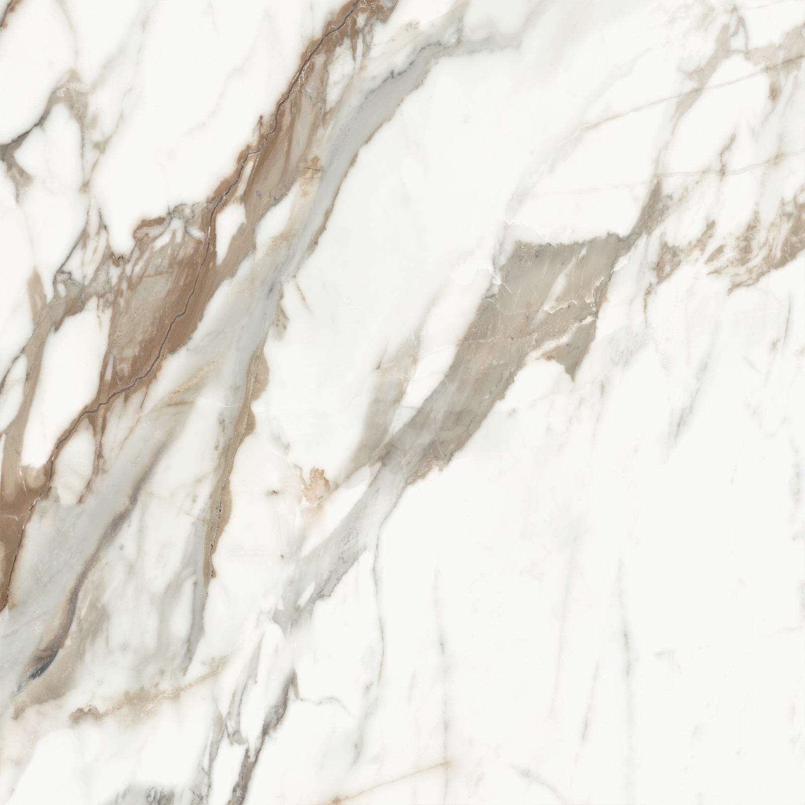 D60209M Calacatta Premium карвинг 600x600x9.5 Delacora