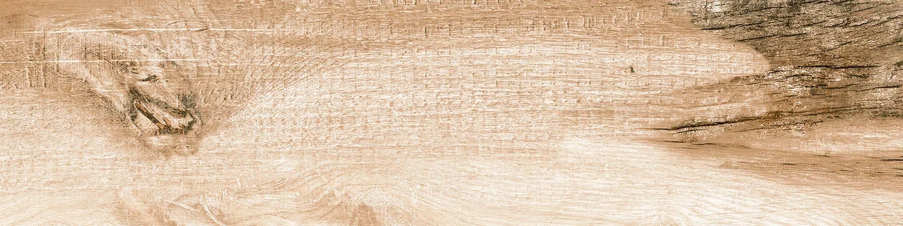 0054 PHOENIX 60х15х08 Eurotile Ceramica