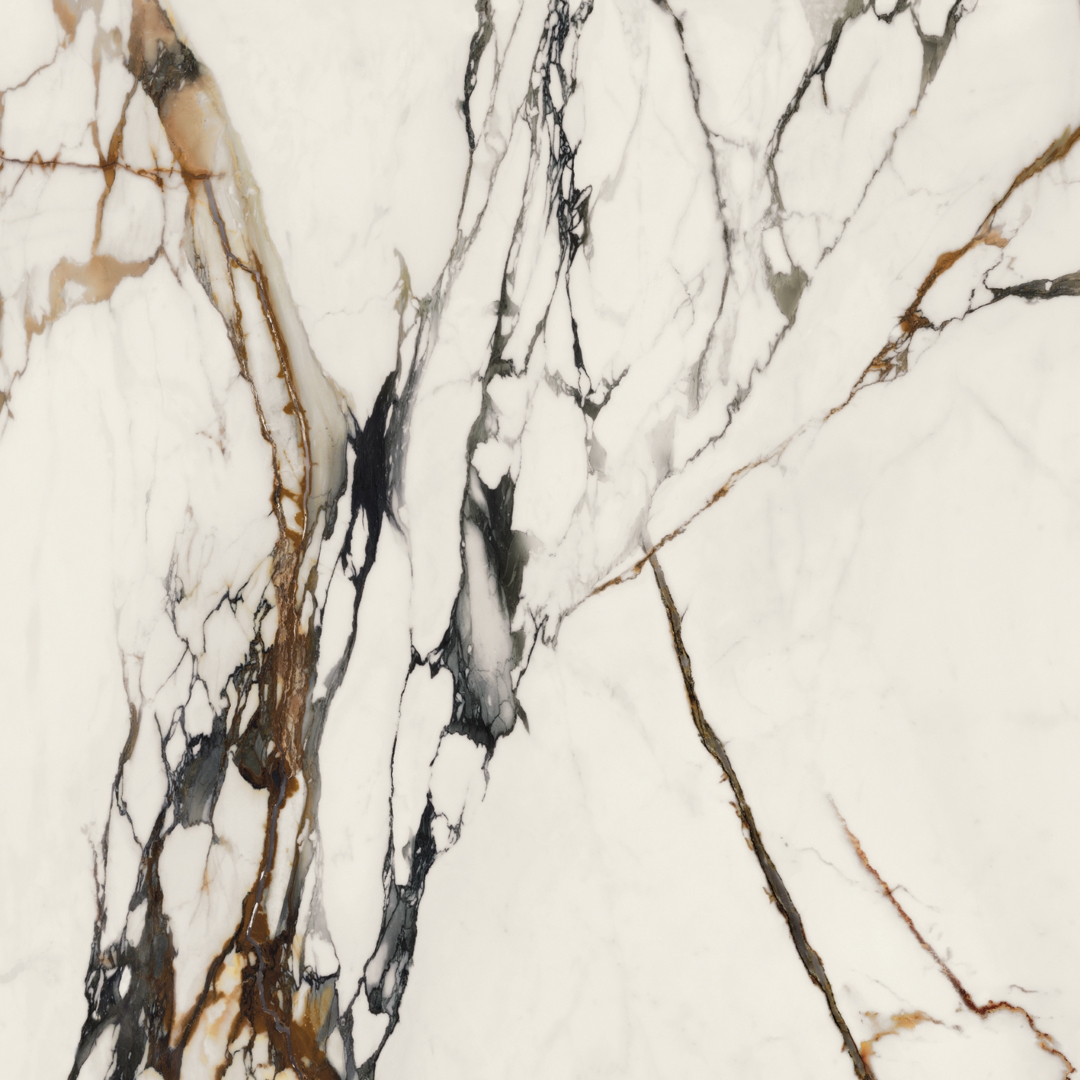 100331132 Xlight Paonazzo Biondo Polished 120x120 Porcelanosa фото 8