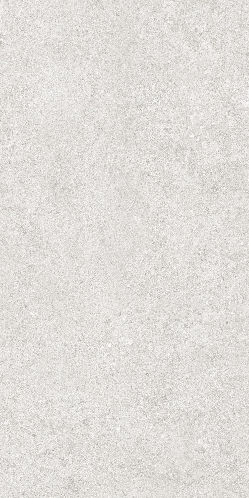 36904 Cluny Silver 4D/50X100X2/A/R 50x100 Peronda фото 4