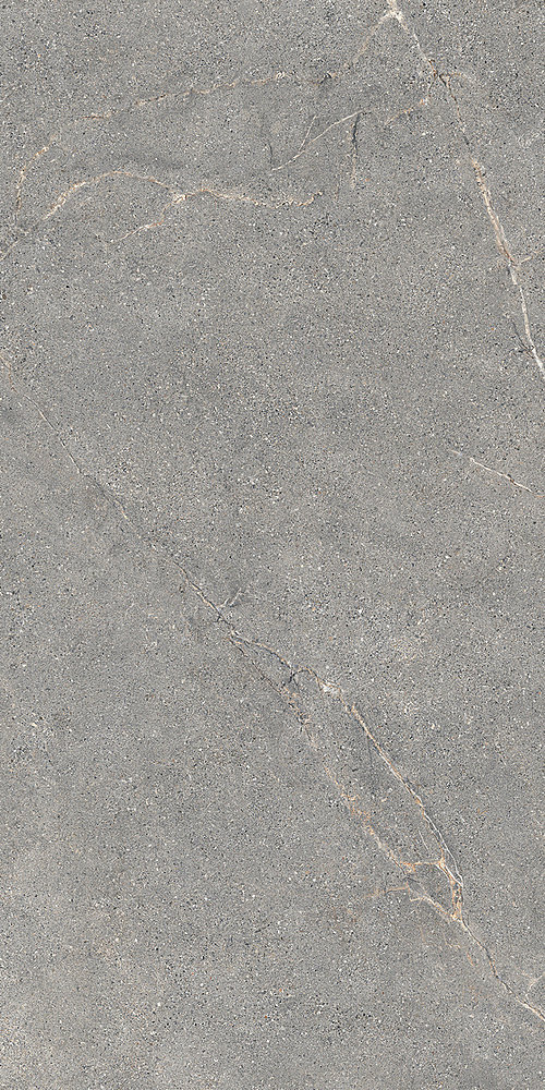 LGXAL45 Anthology 04 Gray Natural RT 9.5mm 60x120 Lea Ceramiche
