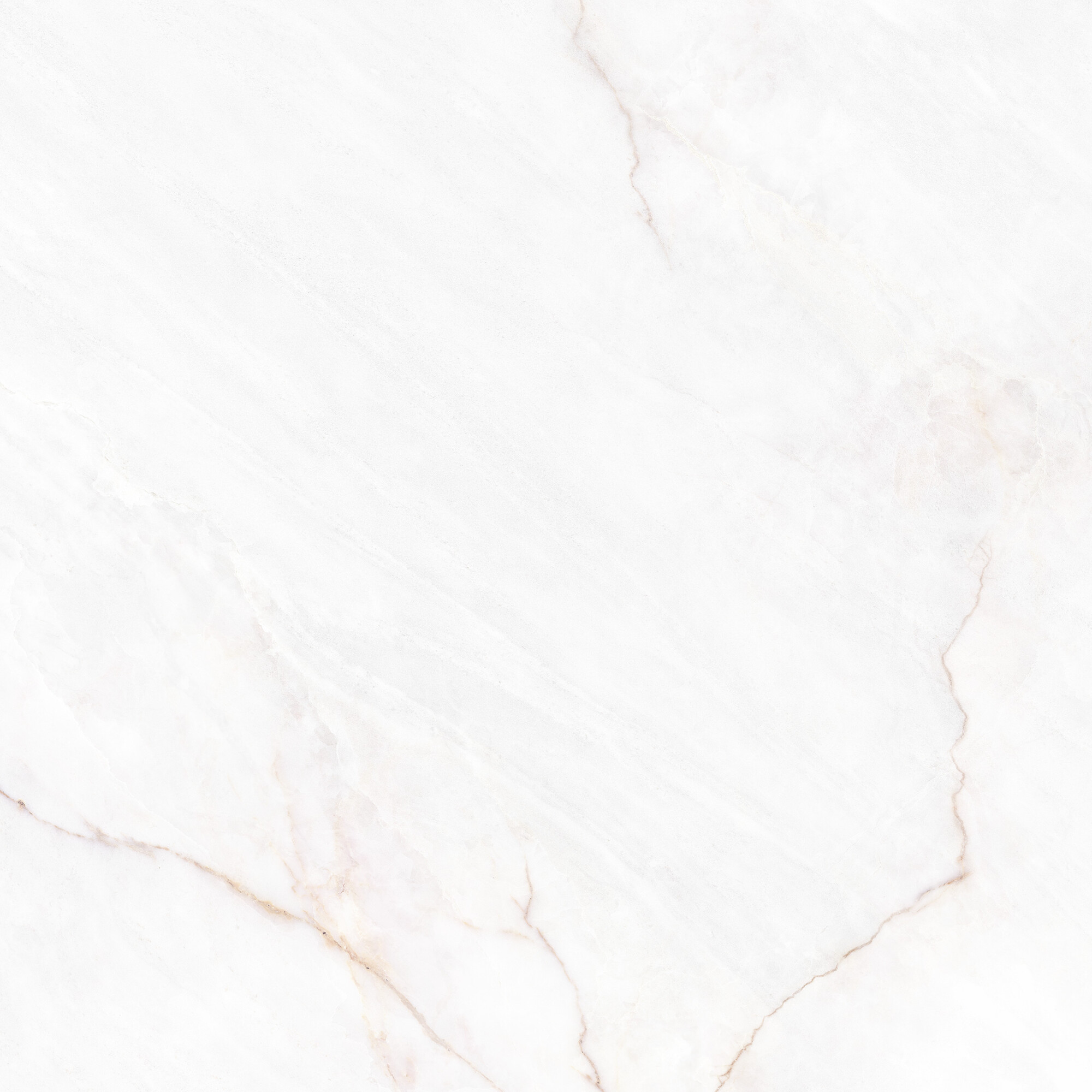 41431 Dahlia White SP/100X100X0,8/R 100x100 Peronda фото 7