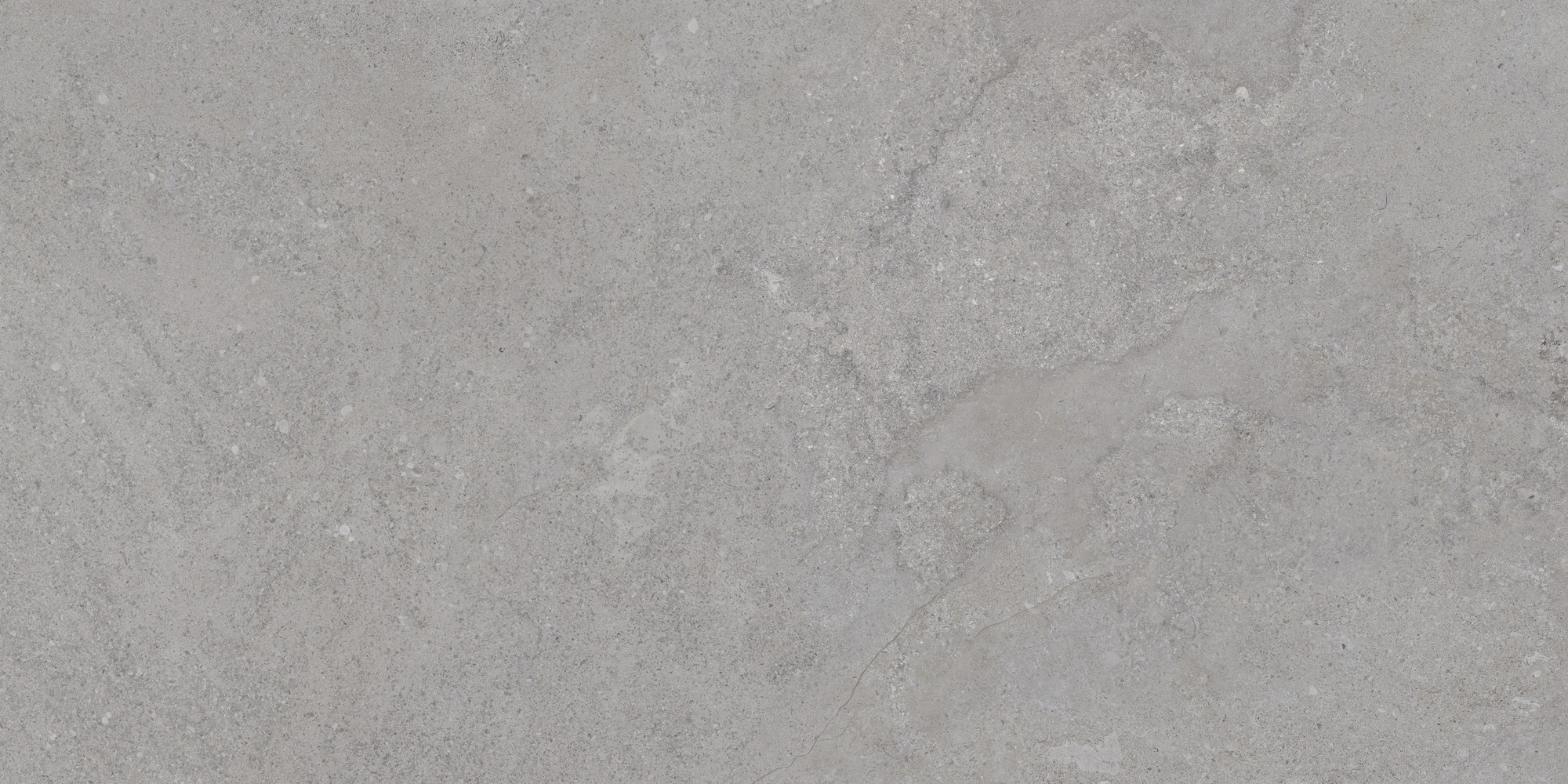 Dorset Silver Rec. 60x120 TAU Ceramica фото 9