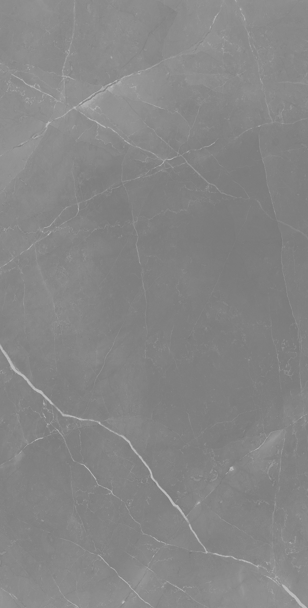RT7014-A Cerasa Grey Matt Rustic 60x120 Arcadia Ceramica