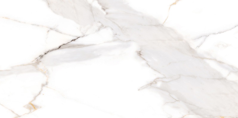 NTT9120M Calacatta Light Grey Mat 60x120 NT Ceramic фото 4