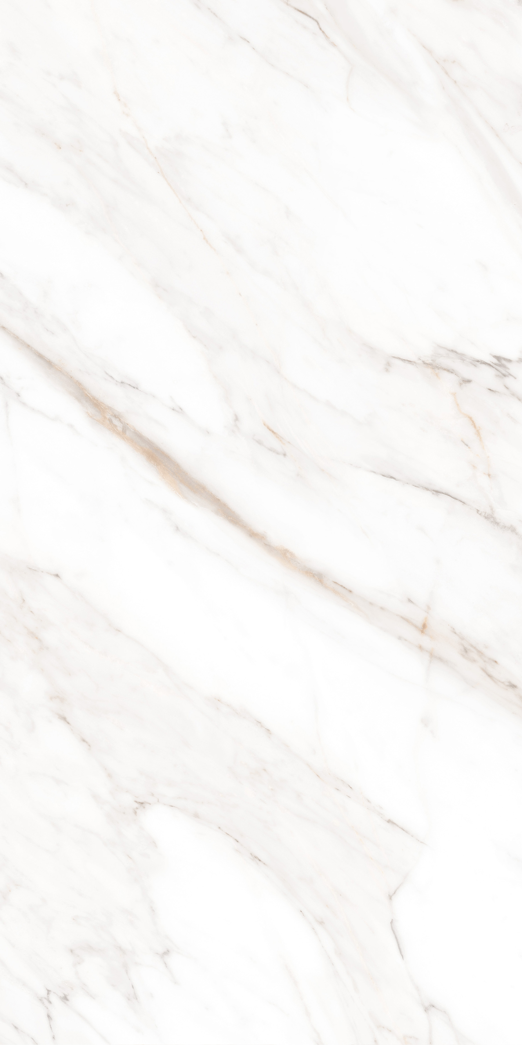 MPL-058631 Calacatta Gold Polished 60x120 Creto
