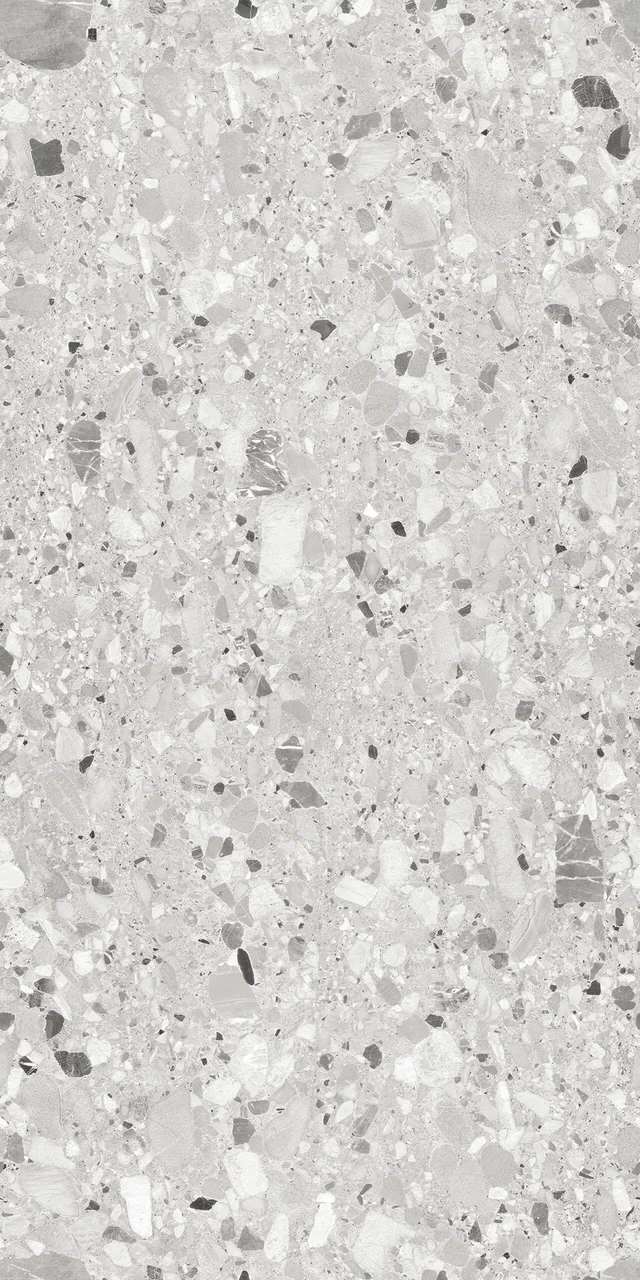 RS 1029 Grey Carving 60x120 BELLEZA фото 2