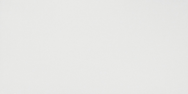 8DSO (8DSW) 3D Wall Solid White Matt. 40x80 Atlas Concorde
