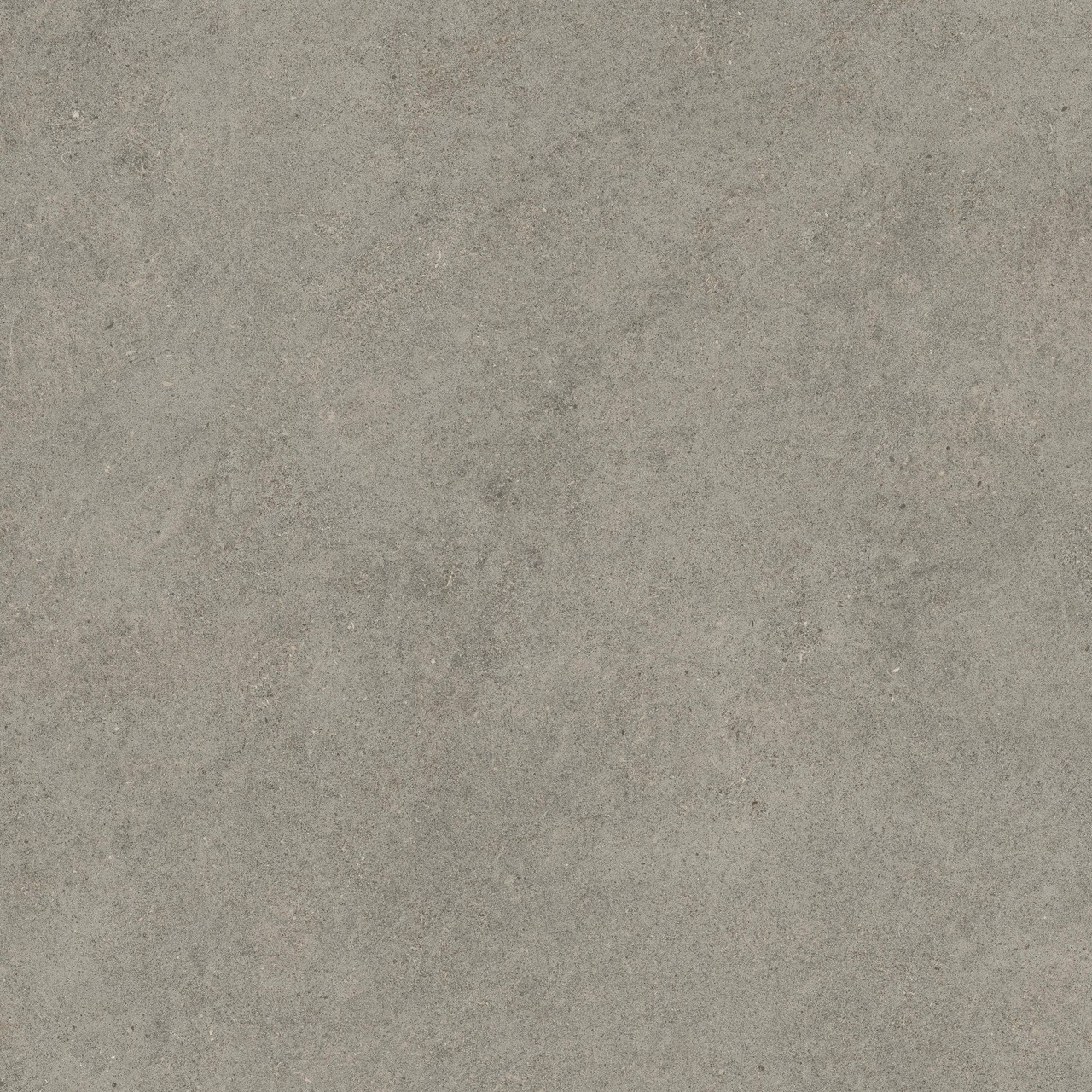600010002429 Forte dei Marmi Rock Lunar Grey Matt Rett 120x120 Atlas Concorde Russia