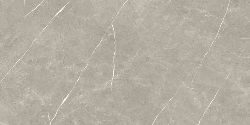 Eternal Pulido Taupe 60x120 Baldocer