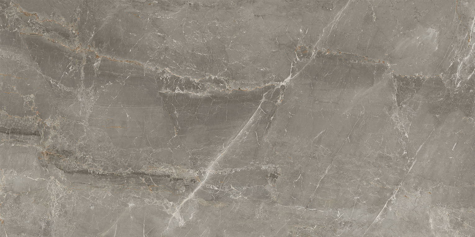 83346 Sybil Silver Levigato 60x120 Cerdomus фото 9