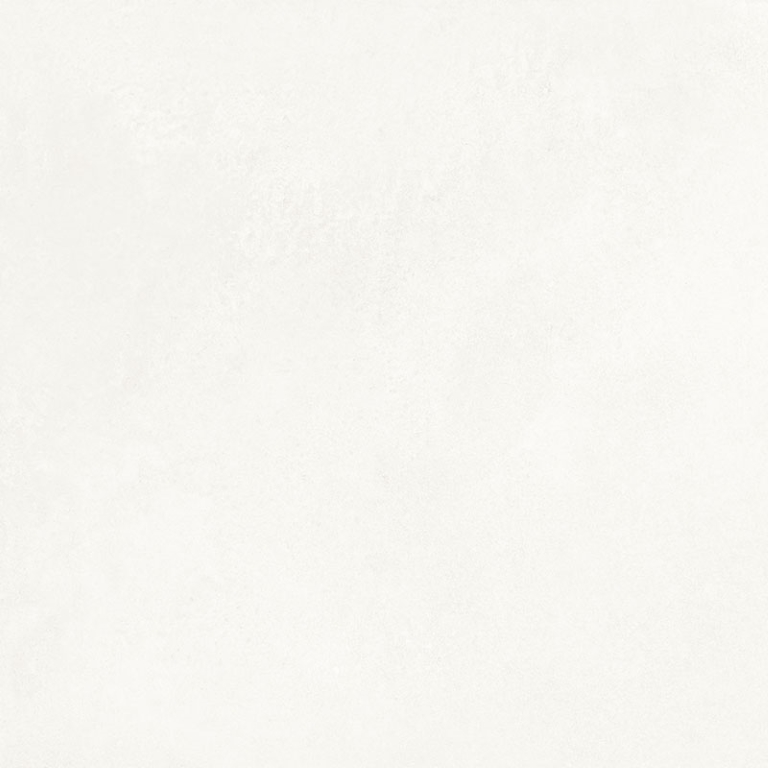 NP_P0074 Delishn white 60х60 Creto