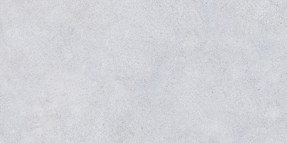 NR207 Maderas Light Grey 60x120 PrimaVera