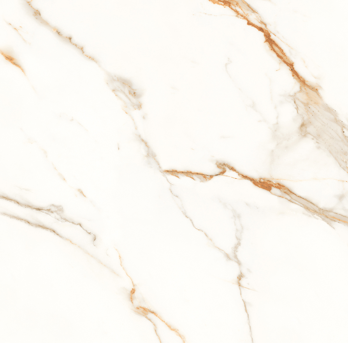 Venato Calacatta Gold белый сатинированный 60х60 Laparet