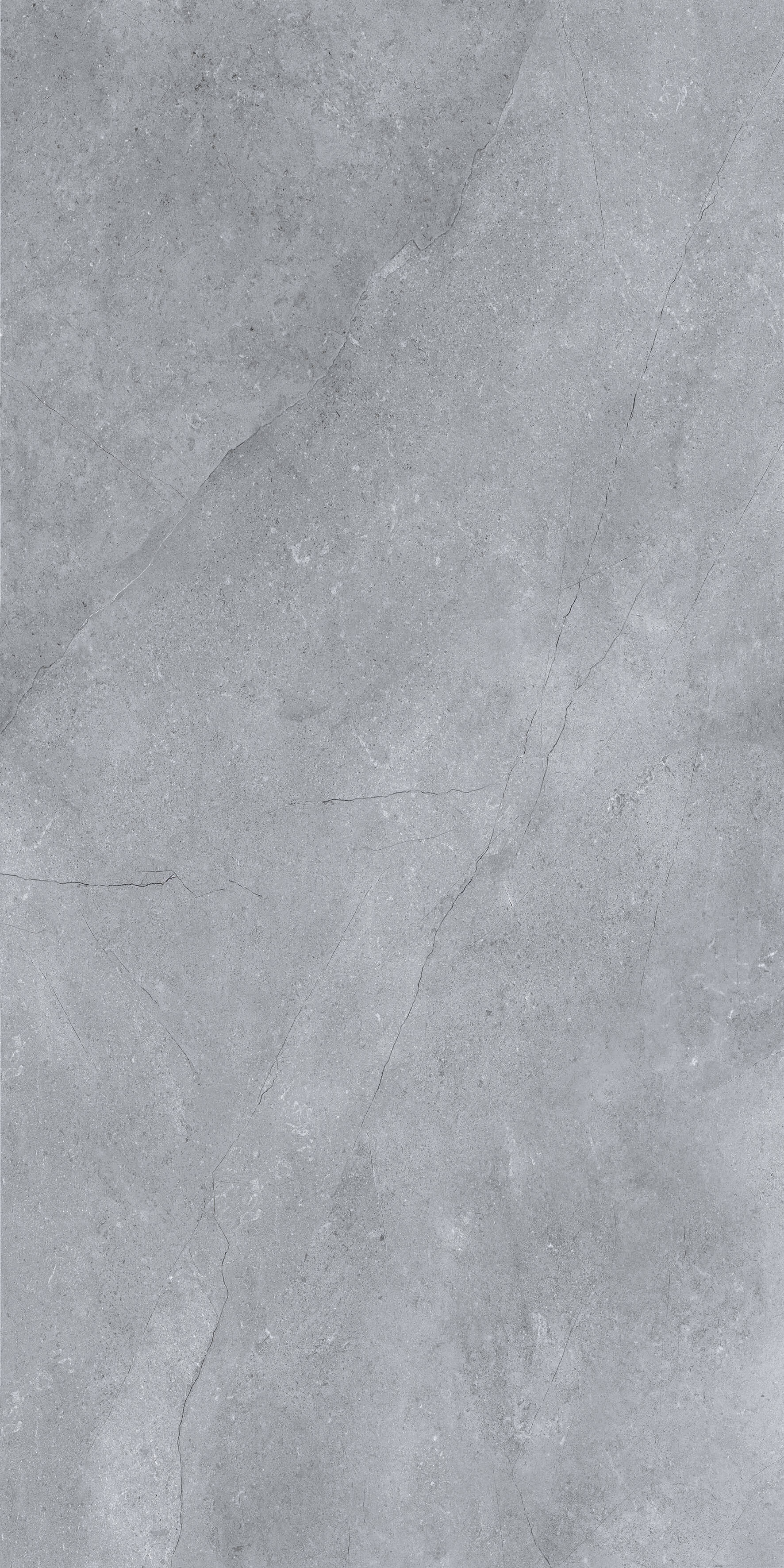 1204 Porto Grey Matt 120x60 Artcer