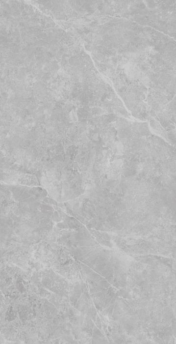 TP612M017 Петрано светло-серый матовый 60x120 PrimaVera фото 4