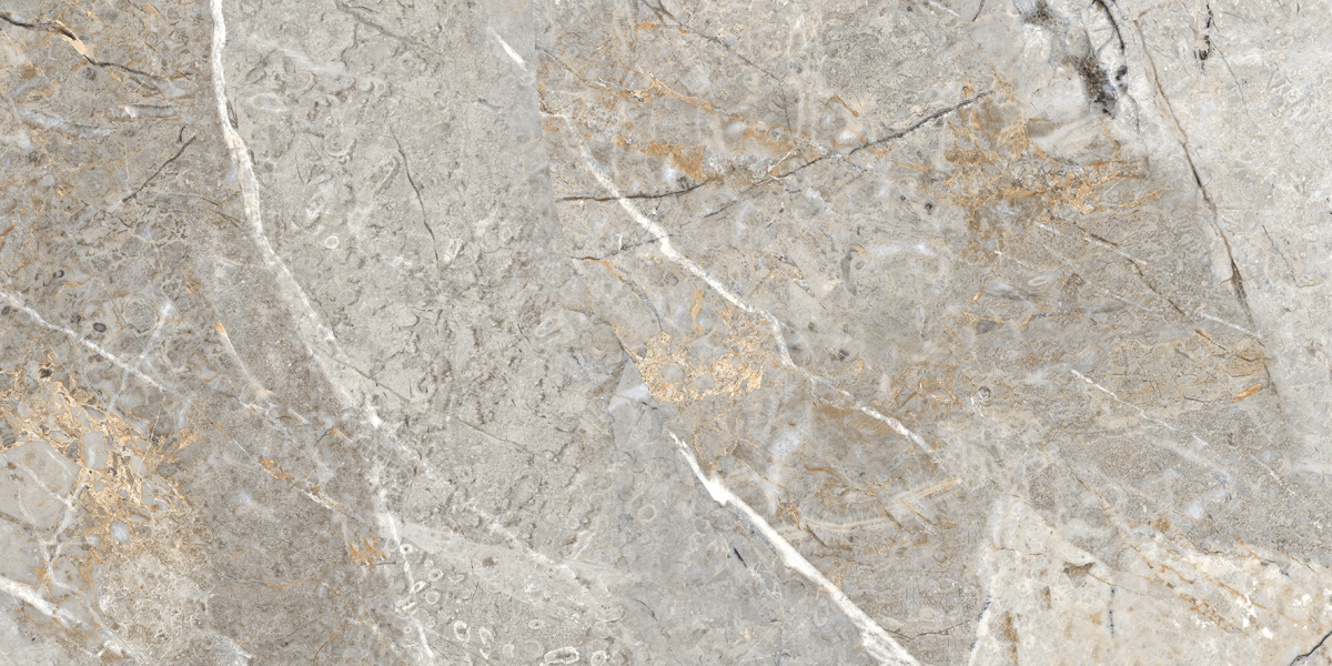 Fantastico Grey Granito Полированный 60х120 Laparet