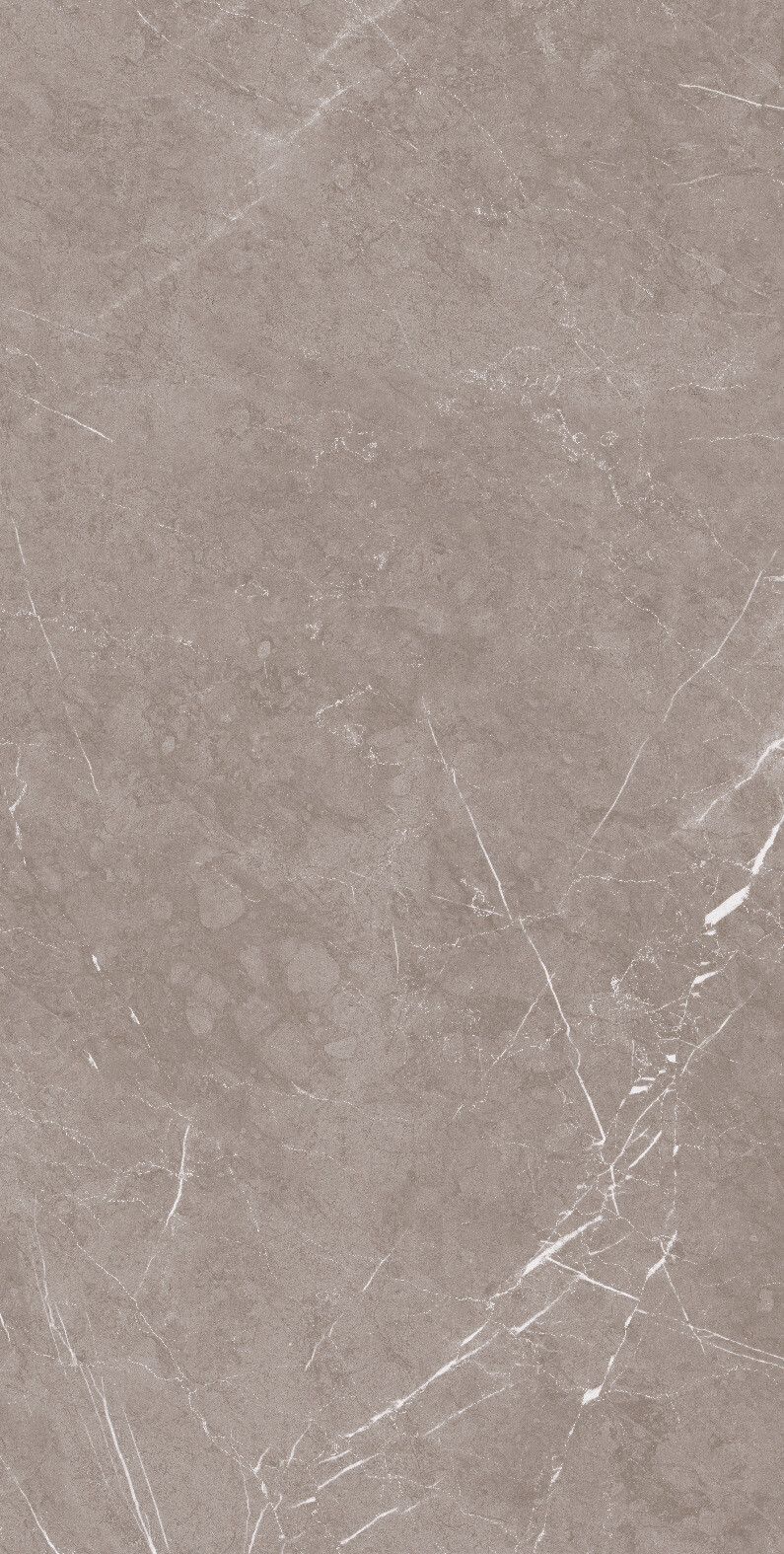 1070 Monte Taupe Carv 120x60 Artcer