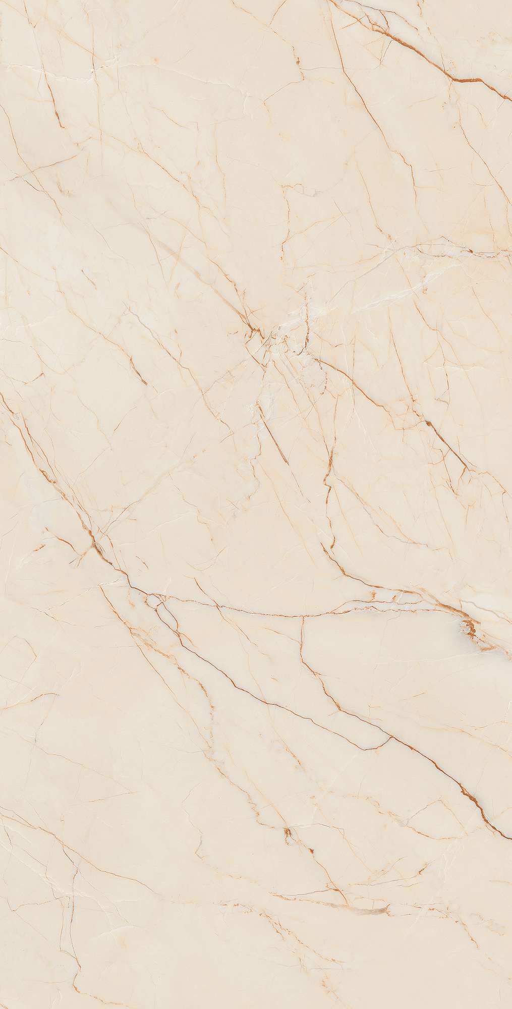 CR4001-A Etna Beige Carving 60x120 Arcadia Ceramica