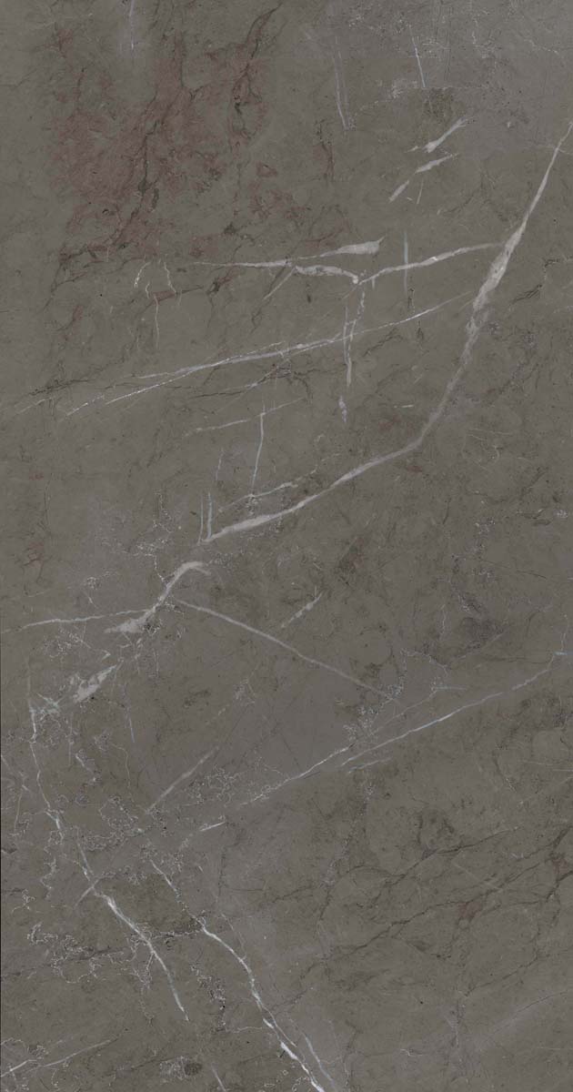 PF60006313 Stone Grey Lux R 60x120 ABK фото 10